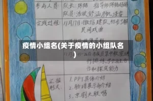 疫情小组名(关于疫情的小组队名)