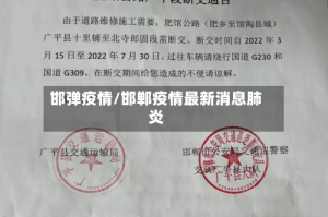 邯弹疫情/邯郸疫情最新消息肺炎