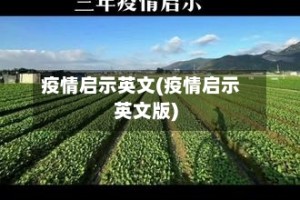 疫情启示英文(疫情启示英文版)