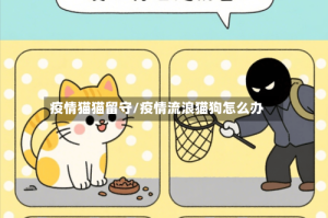 疫情猫猫留守/疫情流浪猫狗怎么办