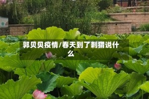 郭贝贝疫情/春天到了刺猬说什么