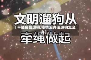 【不顾疫情遛狗,疫情没办法遛狗怎么办】