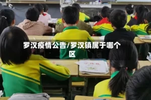 罗汉疫情公告/罗汉镇属于哪个区