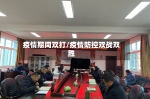 疫情期间双打/疫情防控双战双胜
