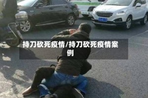 持刀砍死疫情/持刀砍死疫情案例