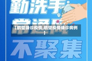 【鹤壁确诊疫情,鹤壁疫情确诊病例】