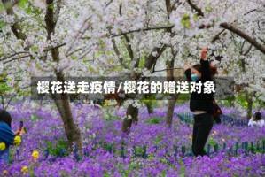 樱花送走疫情/樱花的赠送对象