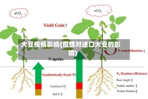大豆疫情影响(疫情对进口大豆的影响)