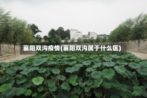 襄阳双沟疫情(襄阳双沟属于什么区)