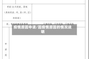 疫情原因申请/因疫情原因的情况说明