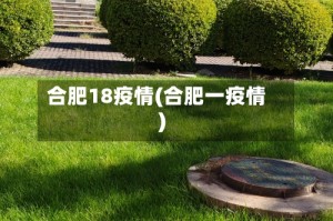 合肥18疫情(合肥一疫情)