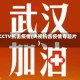 CCTV抗击疫情(央视抗击疫情专题片)