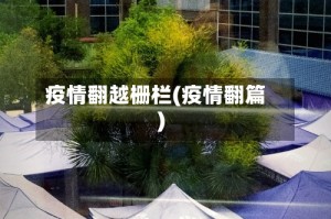 疫情翻越栅栏(疫情翻篇)