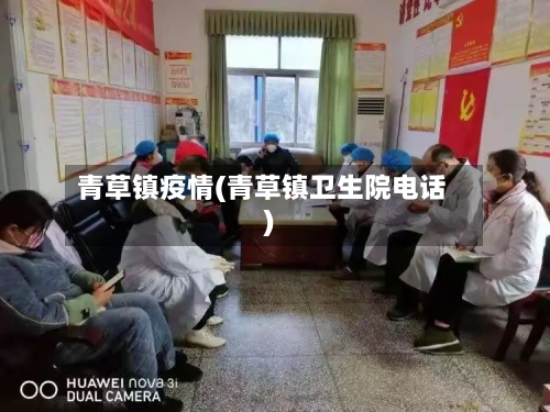 青草镇疫情(青草镇卫生院电话)-第2张图片