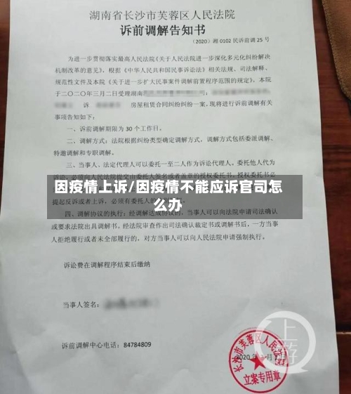 因疫情上诉/因疫情不能应诉官司怎么办-第1张图片