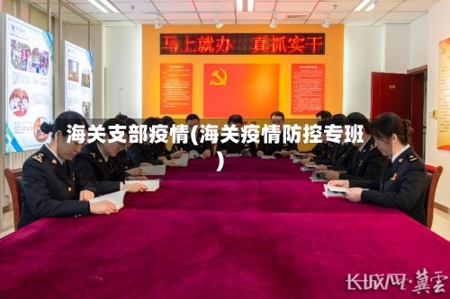 海关支部疫情(海关疫情防控专班)-第1张图片