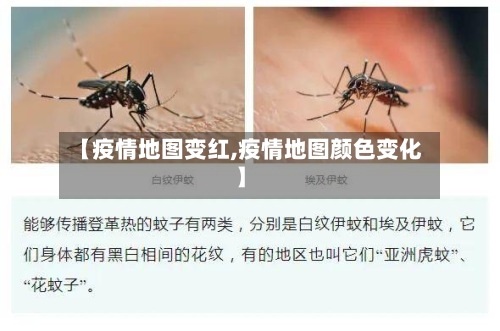 【疫情地图变红,疫情地图颜色变化】-第1张图片