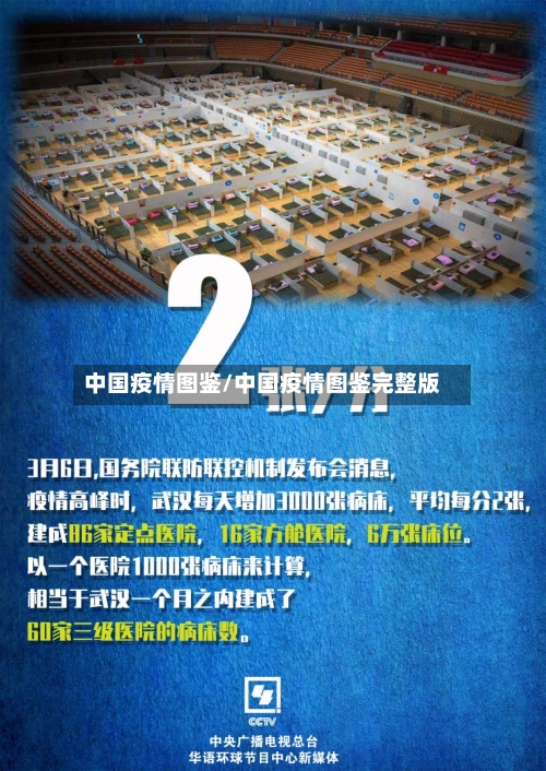 中国疫情图鉴/中国疫情图鉴完整版-第2张图片