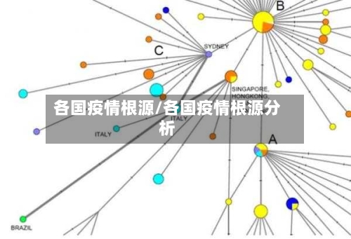 各国疫情根源/各国疫情根源分析-第1张图片