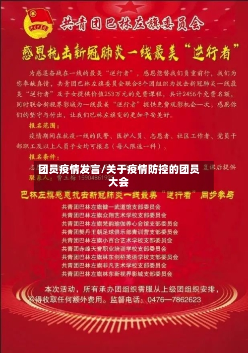 团员疫情发言/关于疫情防控的团员大会-第3张图片