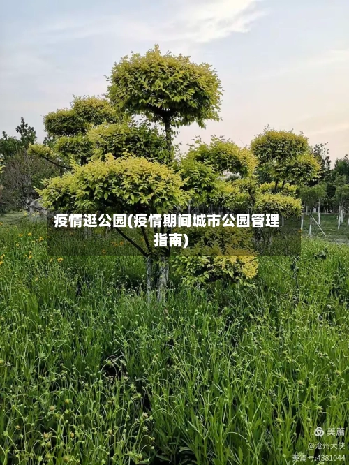 疫情逛公园(疫情期间城市公园管理指南)-第1张图片