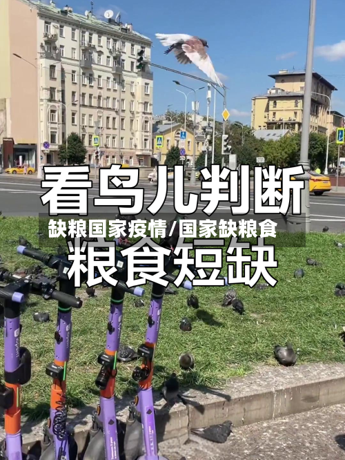 缺粮国家疫情/国家缺粮食-第3张图片