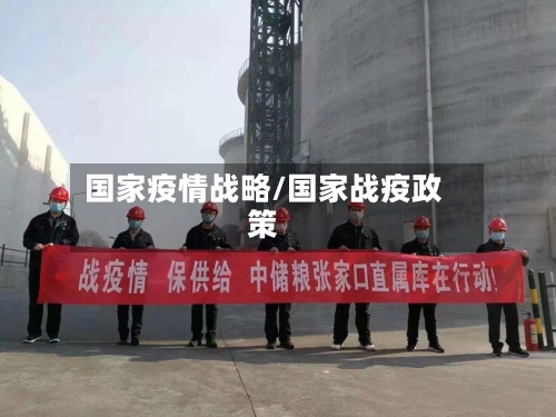 国家疫情战略/国家战疫政策-第1张图片