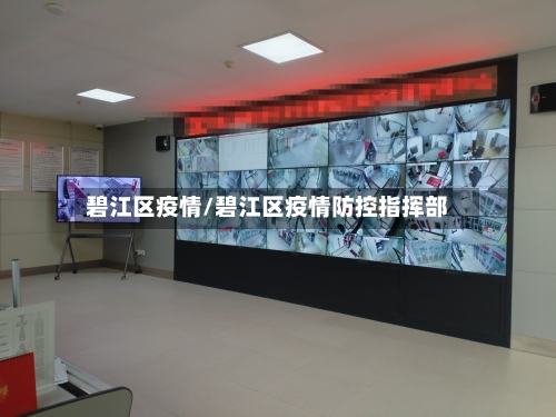 碧江区疫情/碧江区疫情防控指挥部-第1张图片