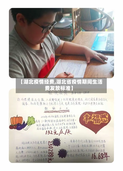 【湖北疫情经费,湖北省疫情期间生活费发放标准】-第3张图片