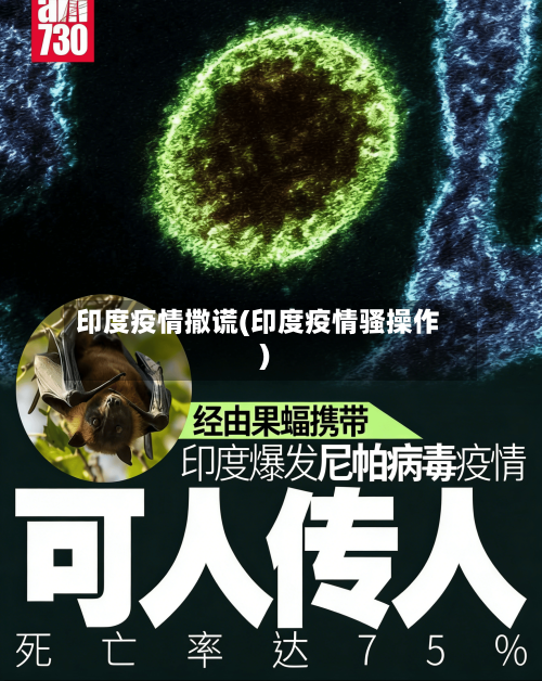 印度疫情撒谎(印度疫情骚操作)-第3张图片