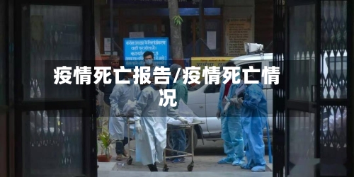 疫情死亡报告/疫情死亡情况-第3张图片