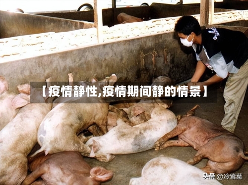 【疫情静性,疫情期间静的情景】-第3张图片