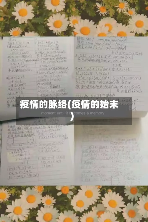 疫情的脉络(疫情的始末)-第3张图片