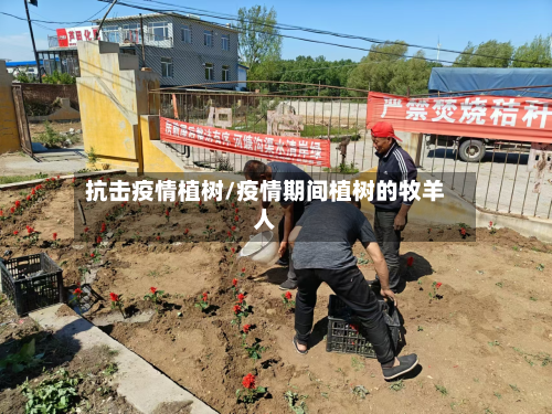 抗击疫情植树/疫情期间植树的牧羊人-第3张图片