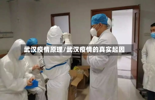 武汉疫情原理/武汉疫情的真实起因-第2张图片