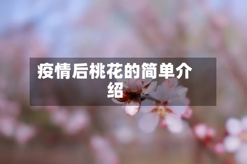 疫情后桃花的简单介绍-第3张图片