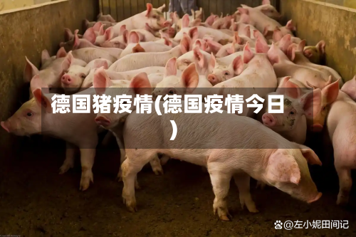 德国猪疫情(德国疫情今日)-第2张图片