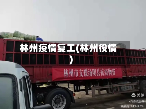 林州疫情复工(林州役情)-第2张图片