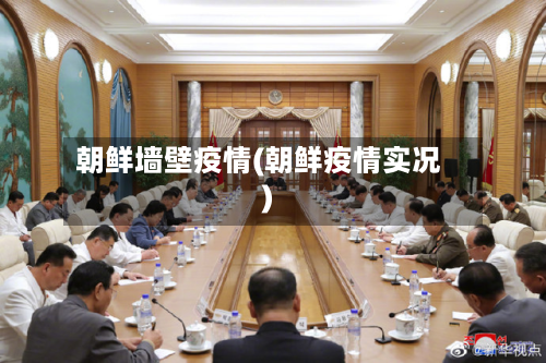 朝鲜墙壁疫情(朝鲜疫情实况)-第2张图片