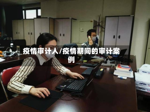 疫情审计人/疫情期间的审计案例-第3张图片