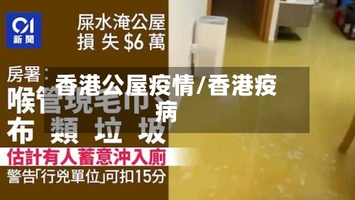香港公屋疫情/香港疫病-第1张图片