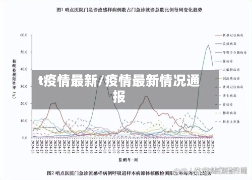 t疫情最新/疫情最新情况通报-第2张图片