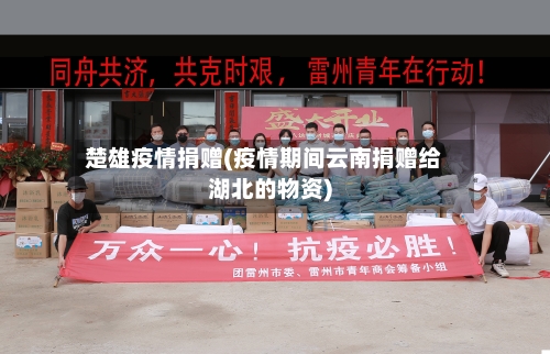 楚雄疫情捐赠(疫情期间云南捐赠给湖北的物资)-第2张图片