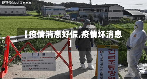 【疫情消息好假,疫情坏消息】-第3张图片