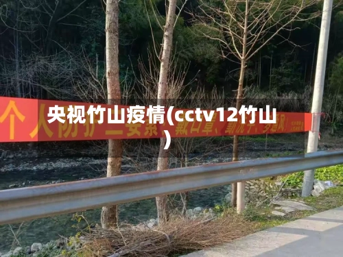 央视竹山疫情(cctv12竹山)-第2张图片