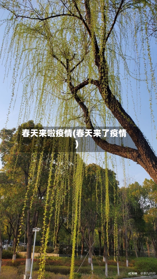 春天来啦疫情(春天来了疫情)-第3张图片