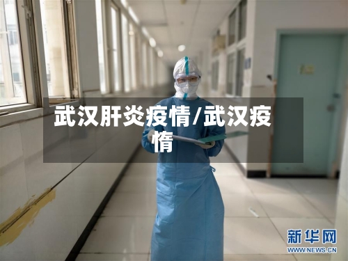 武汉肝炎疫情/武汉疫惰-第1张图片