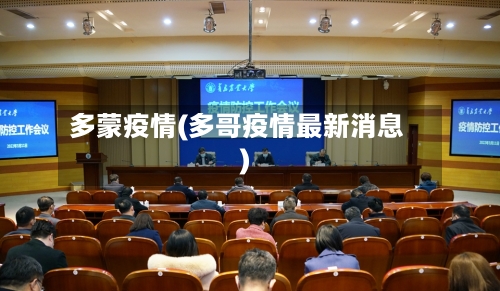 多蒙疫情(多哥疫情最新消息)-第3张图片