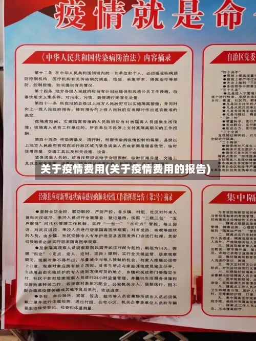 关于疫情费用(关于疫情费用的报告)-第1张图片