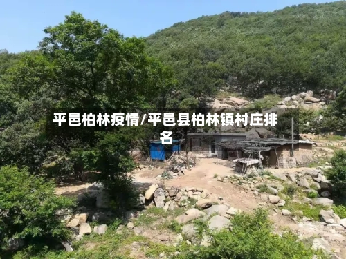 平邑柏林疫情/平邑县柏林镇村庄排名-第2张图片